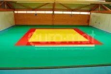 Спортивная школа (г. Киев)