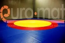 ДЮСШ (г. Воронеж)